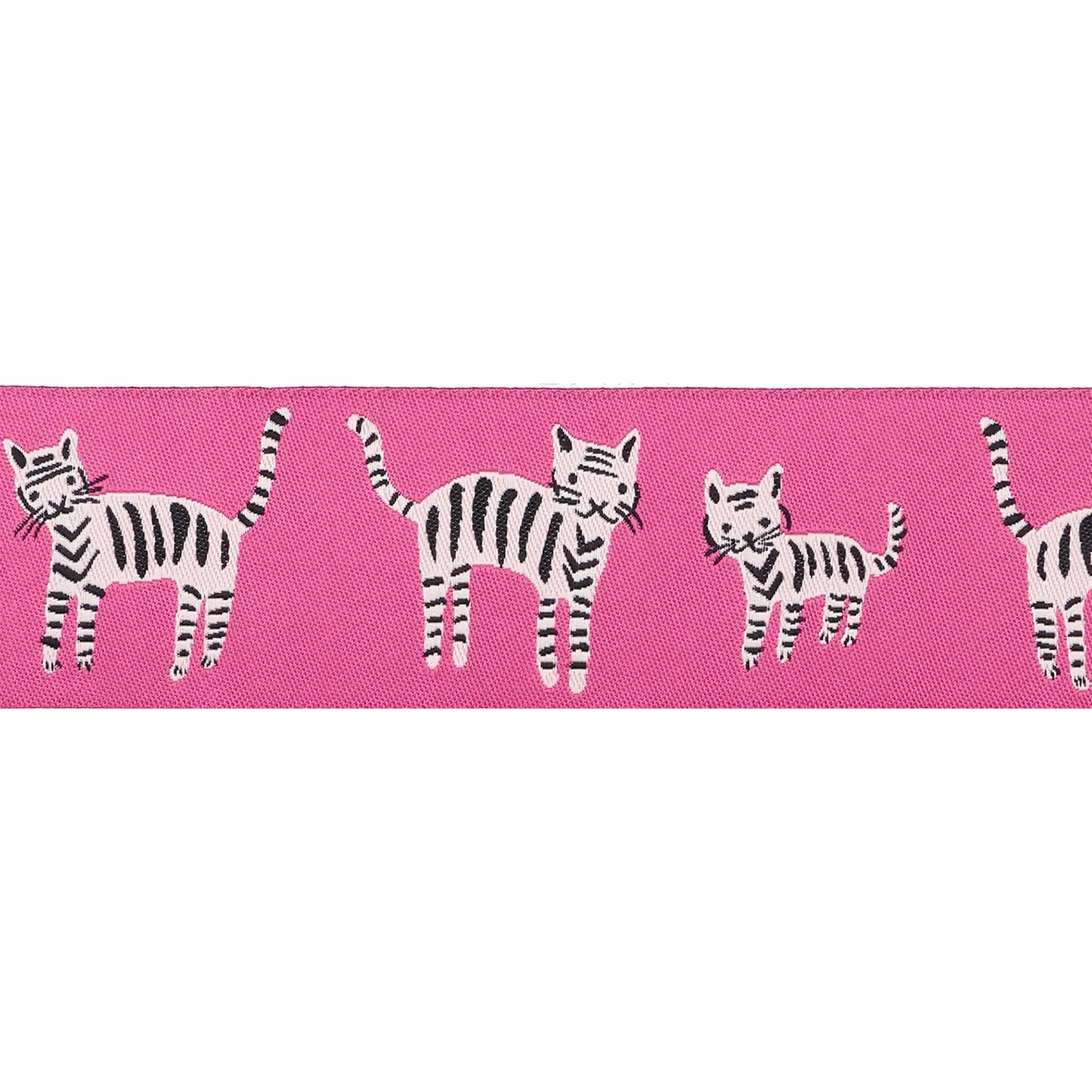 Alecia Abegg | Mixtape | Tiger Stripes Ribbon