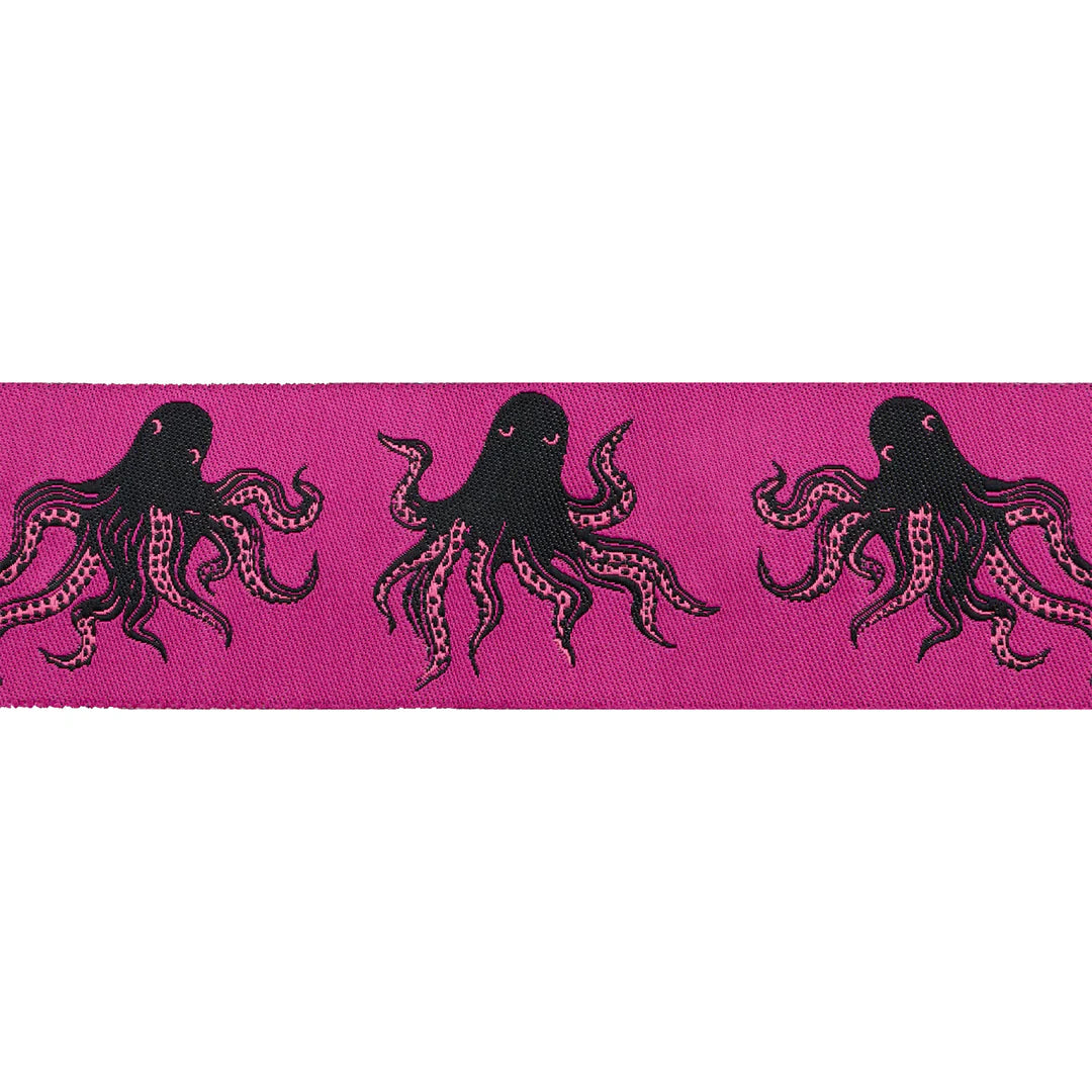 Mystery Food - 1-1 |2" width - Best of Sarah Watts