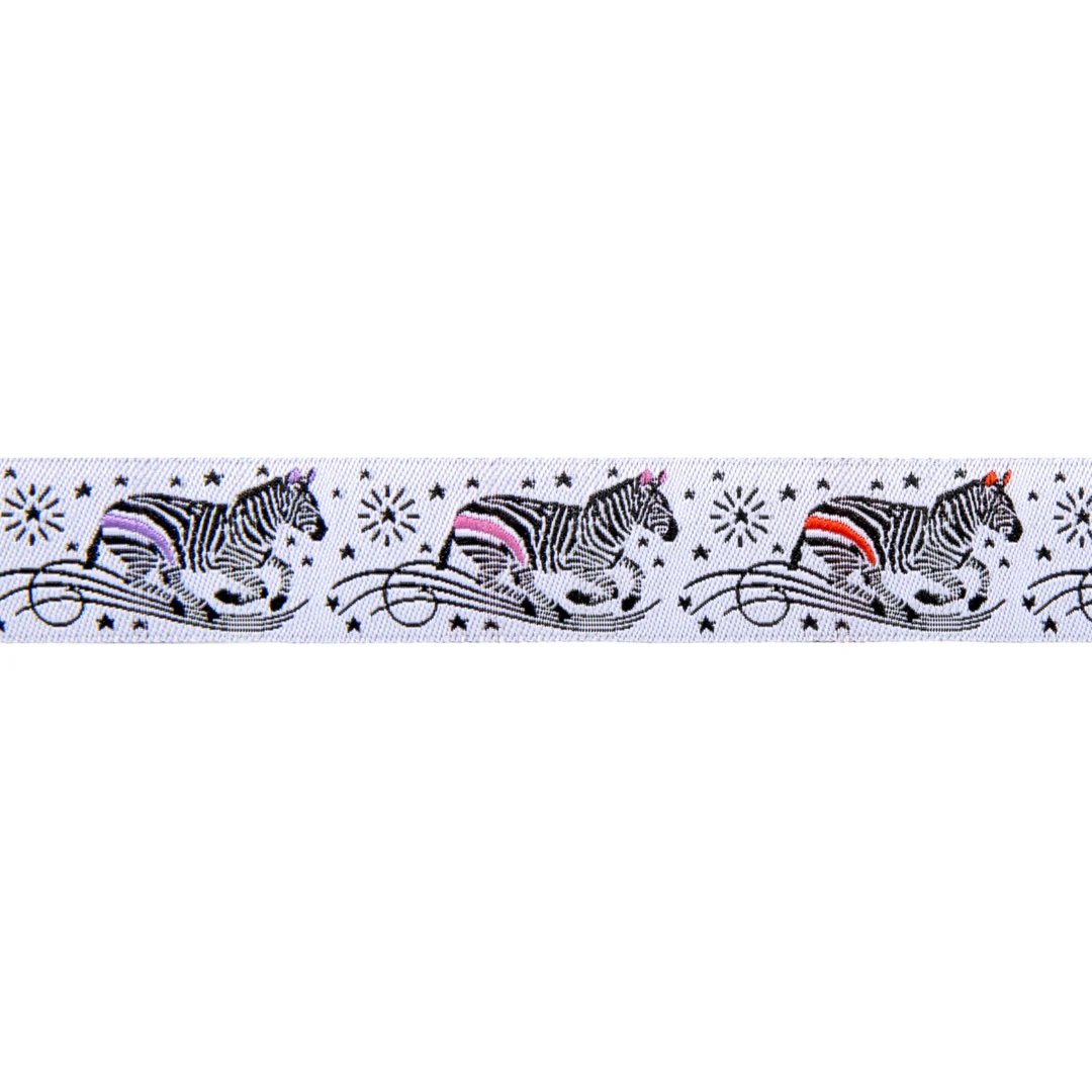 ZEBRA ON LINES- TULA PINK LINEWORK - 7 |8"