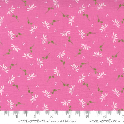 Moda | Sincerely Yours | Petunia