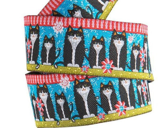 Black Cats on Blue Ribbon