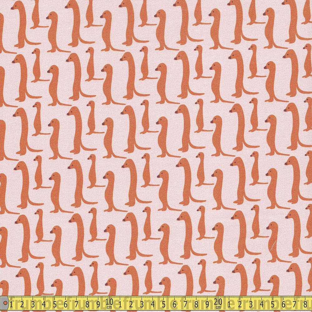 Paintbrush Studio | Animal Kingdom | Meerkat | Orange |Pink
